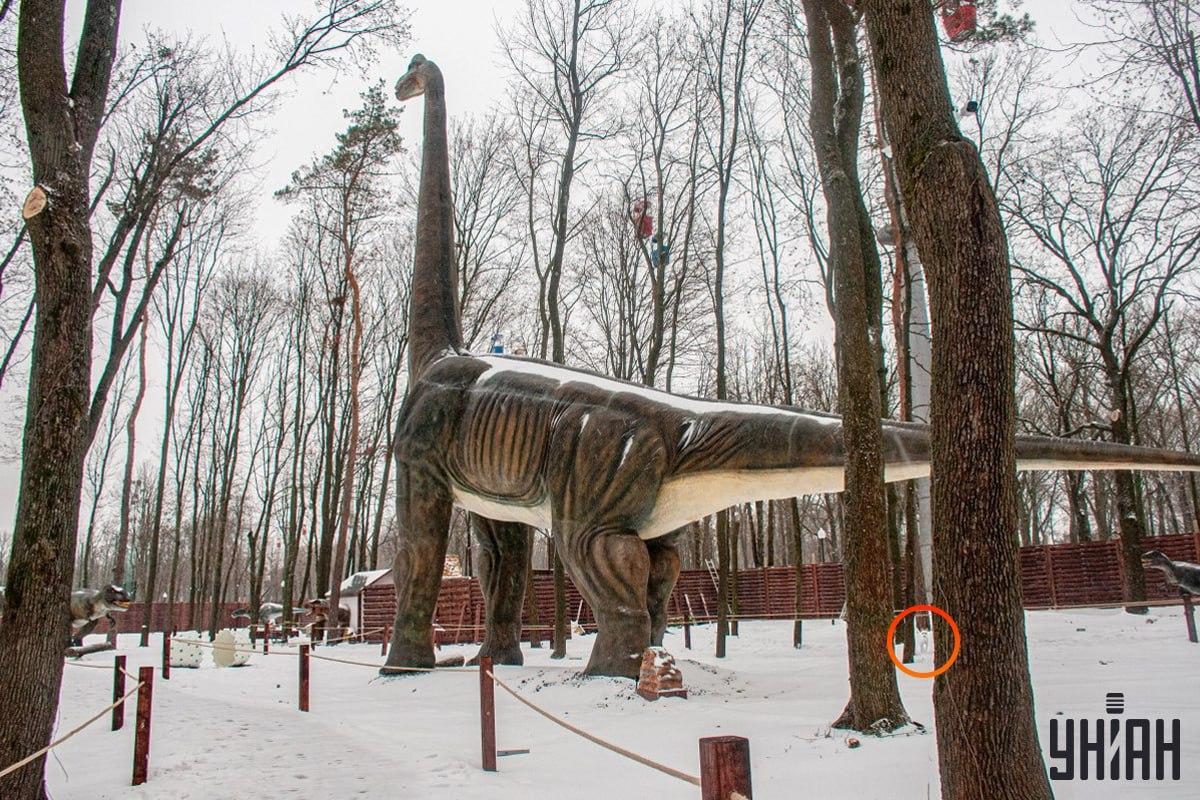 Koira oli lähellä kuvan vasenta alakulmaa / kollaasi Moje