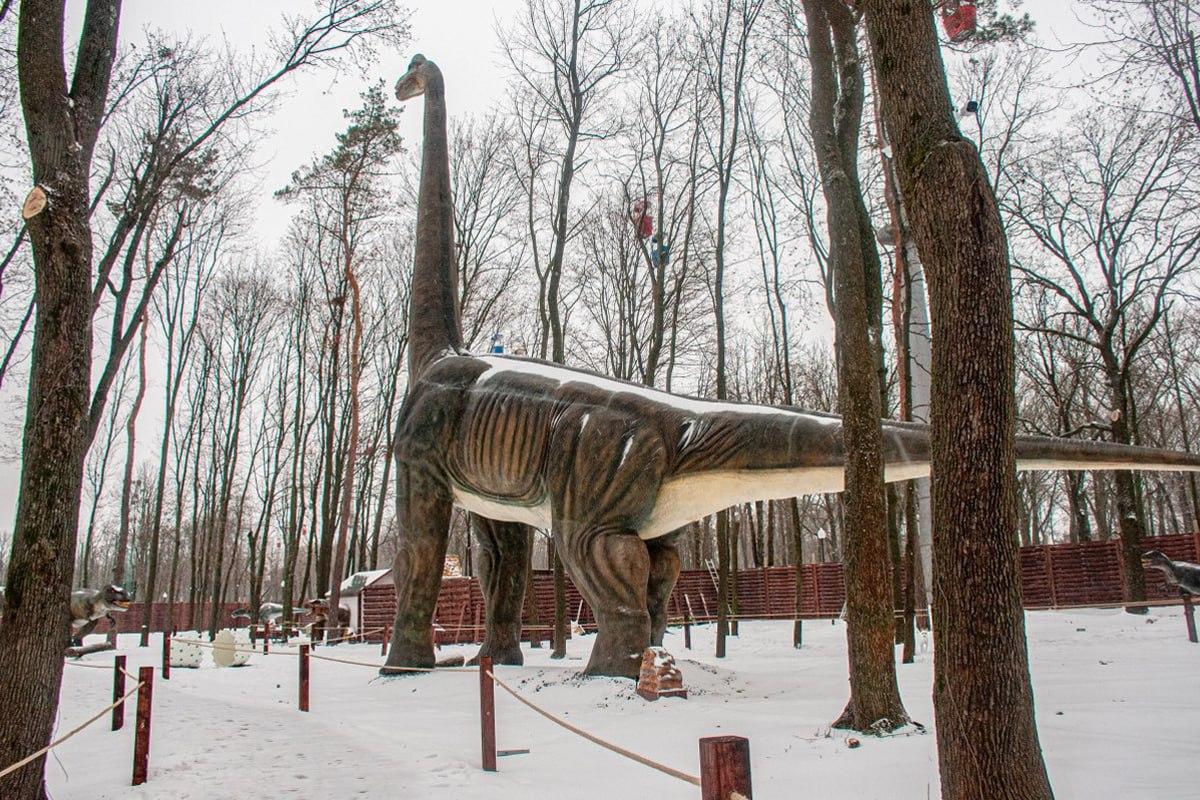 Etsi koira lumesta 10 sekunnissa / Moje kollaasi