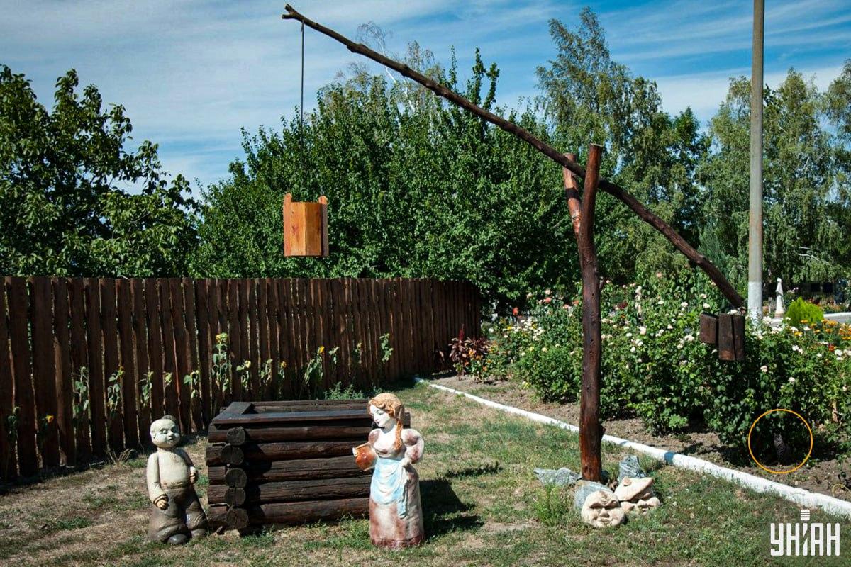 Kissa oli kukkapenkissä / Moje kollaasi