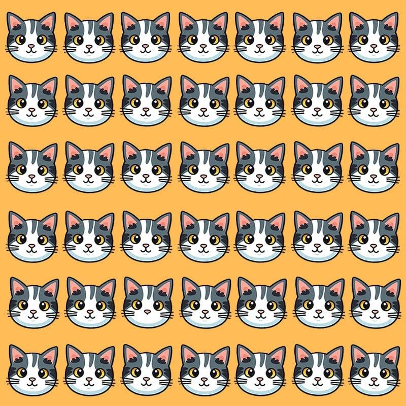 Tämä optinen harha on mahdollista vain ihmisille, joilla on hyvä älykkyysosamäärä / kuva Moje