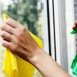 kuinka-pesta-ikkunat-ilman-kemikaaleja-juovien-ja-polyn-valttamiseksi.webp.webp