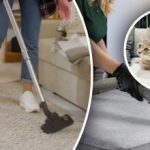 Jälkiä ei jää: 7 askelta poistaaksesi virtsan hajun matosta