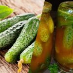 Kuinka peittää kurkut chiliketsuppilla talveksi: 3 vertaansa vailla olevaa reseptiä