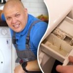 Kuinka puhdistaa pesukone homeesta ja hajusta: halpoja asiantuntijaneuvoja