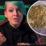 Kuinka valita viherlanta ja yllättää naapurisi sadolla: puutarhuri antoi tehokkaita