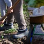 Kylvökalenteri syyskuulle 2025: mitä puutarhassa pitää tehdä