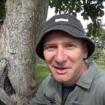 Ontto ei ole kuolemantuomio: todistettu tapa pidentää puun käyttöikää