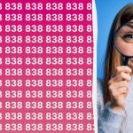 Sinulla on korkea älykkyysosamäärä, jos löydät nopeasti numeron 888 satojen