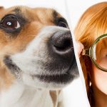 Vain todellinen IQ-titaani näkee koiran lumessa 10 sekunnissa: henkeäsalpaava optinen