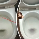 Yksi tuote valkaisee wc-istuimen kiiltäviksi: kuinka käsitellä plakkia ja likaa